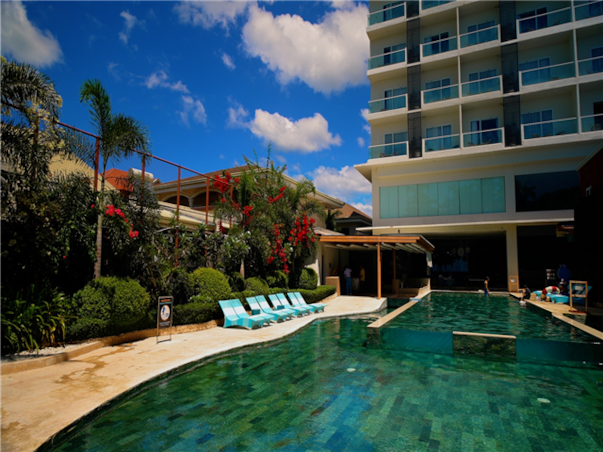 [보홀 / 솔레아 슈페리어] 거북이스노쿨링+돌핀왓칭 3박4일