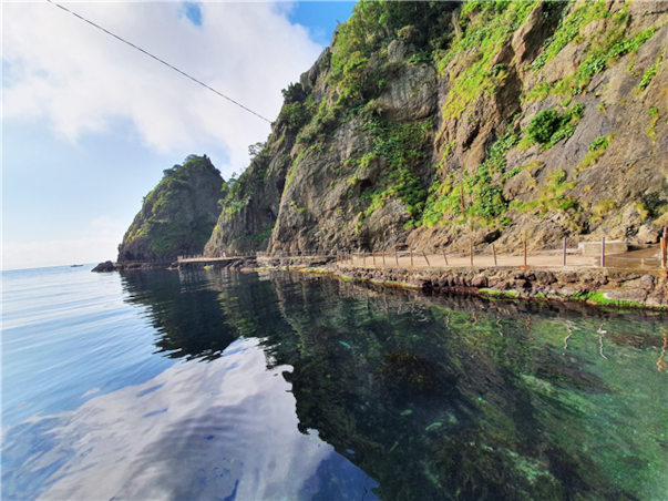 [포항영일만신항/4도탐방] 울릉도 독도 죽도 관음도 4일 ＜크루즈/모텔급/육로완전일주＞