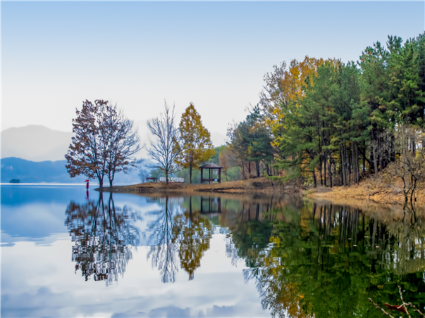 [집중모객]충청도 대전 당일여행 ＜지자제지원특가/장태산휴양림＞
