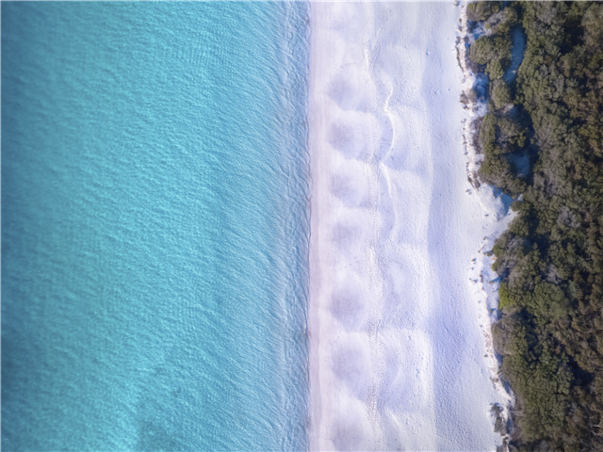 [무조건출발보장] [게릴라특가] 시드니 일주 6일 (전일정4성)